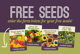 free-seeds