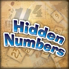 hidden-numbers