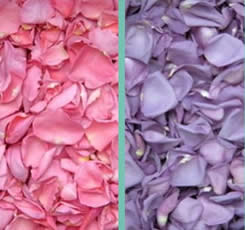 silk-rose-petals