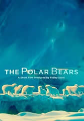 the-polar-bears