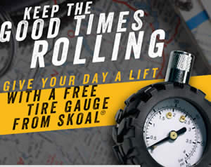 tire-pressure-gauge-skol