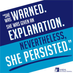 She Persisted Sticker