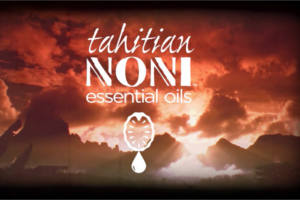 Tahitian Noni Essential Oil