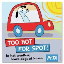 FREE Too Hot for Spot Window Decal