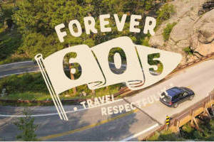 FREE Forever 605 Sticker